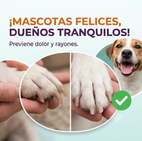 🐾🐾Lima Electrica Para uñas ✨🐶🐱