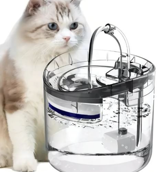 🐱🐶💧 Fuente de Agua Inteligente