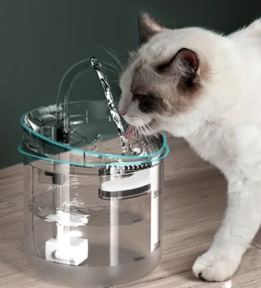 🐱🐶💧 Fuente de Agua Inteligente
