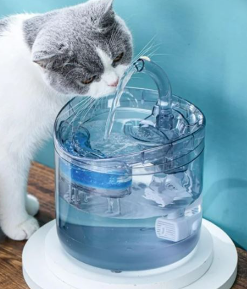 🐱🐶💧 Fuente de Agua Inteligente