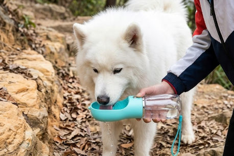 💧Dispensadora de Agua Portátil para Mascotas 💧