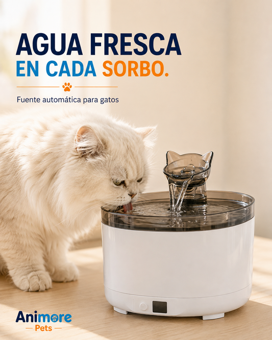 💧🐾Fuente Inteligente para Mascotas🐾💧